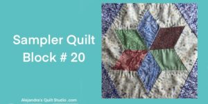 Sampler Quilt Block 20