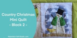 Country Christmas Mini Quilt - Block 2
